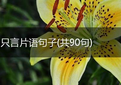 只言片语句子(共90句)