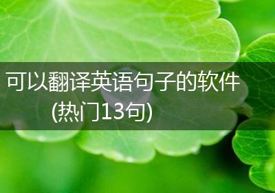 可以翻译英语句子的软件(热门13句)