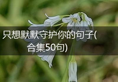 只想默默守护你的句子(合集50句)