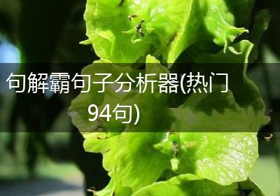 句解霸句子分析器(热门94句)