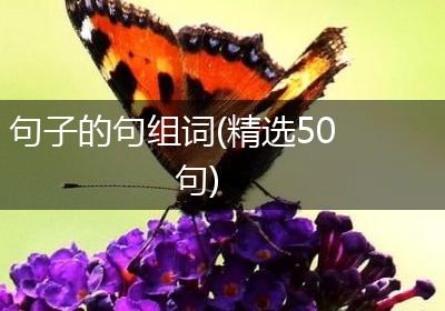 句子的句组词(精选50句)