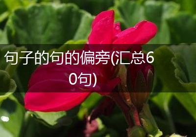 句子的句的偏旁(汇总60句)
