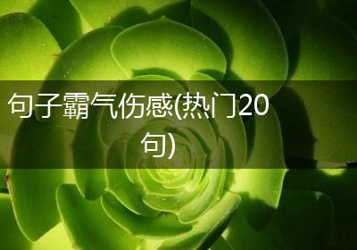 句子霸气伤感(热门20句)