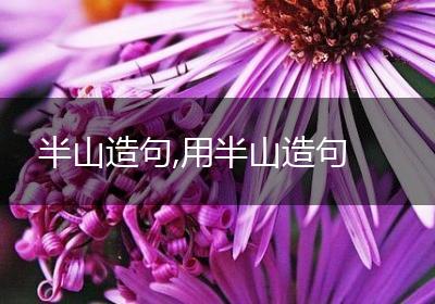 半山造句,用半山造句