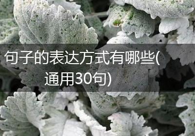 句子的表达方式有哪些(通用30句)