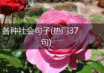 各种社会句子(热门37句)