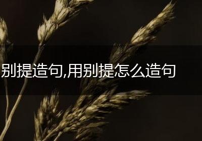 别提造句,用别提怎么造句
