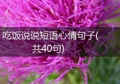 吃饭说说短语心情句子(共40句)