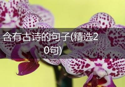 含有古诗的句子(精选20句)
