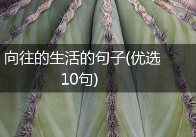 向往的生活的句子(优选10句)