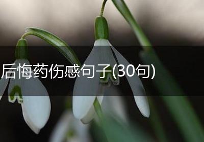 后悔药伤感句子(30句)