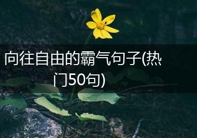 向往自由的霸气句子(热门50句)