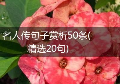 名人传句子赏析50条(精选20句)