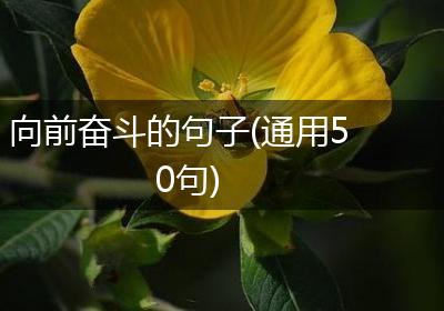 向前奋斗的句子(通用50句)