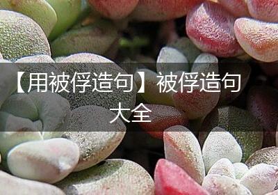 【用被俘造句】被俘造句大全