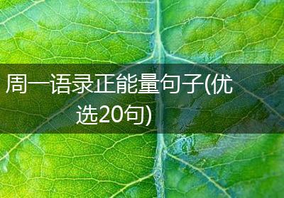 周一语录正能量句子(优选20句)