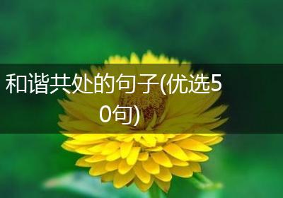 和谐共处的句子(优选50句)
