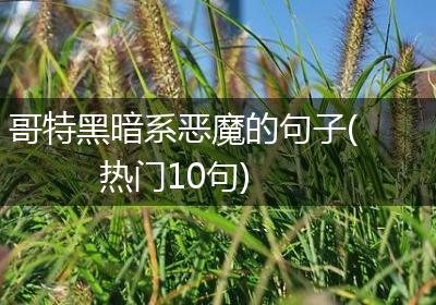哥特黑暗系恶魔的句子(热门10句)