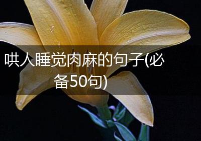 哄人睡觉肉麻的句子(必备50句)