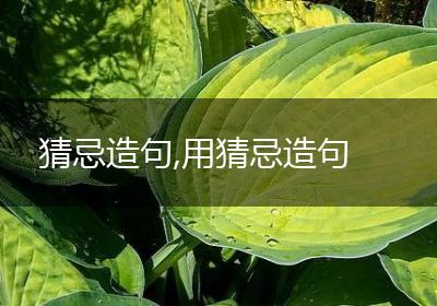 猜忌造句,用猜忌造句