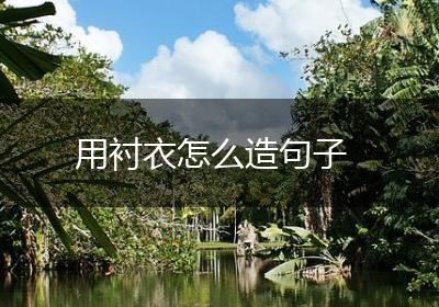 用衬衣怎么造句子