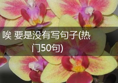 唉 要是没有写句子(热门50句)
