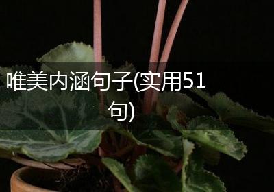 唯美内涵句子(实用51句)