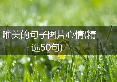 唯美的句子图片心情(精选50句)