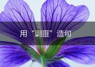 用“剿匪”造句