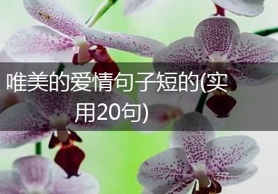 唯美的爱情句子短的(实用20句)