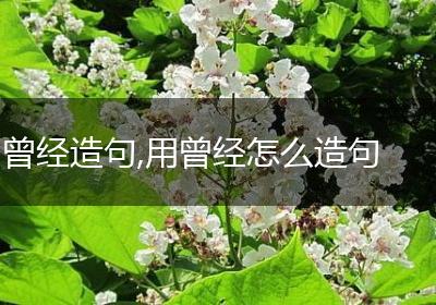 曾经造句,用曾经怎么造句