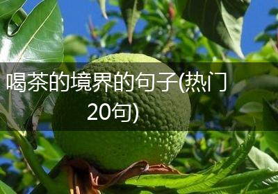 喝茶的境界的句子(热门20句)