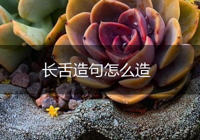 长舌造句怎么造
