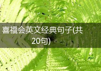 喜福会英文经典句子(共20句)