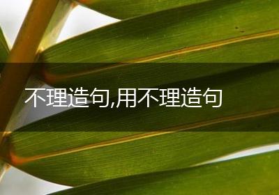 不理造句,用不理造句