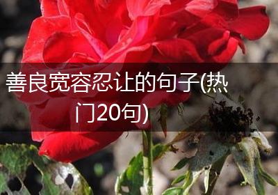 善良宽容忍让的句子(热门20句)