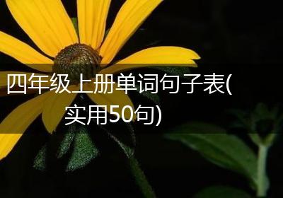 四年级上册单词句子表(实用50句)