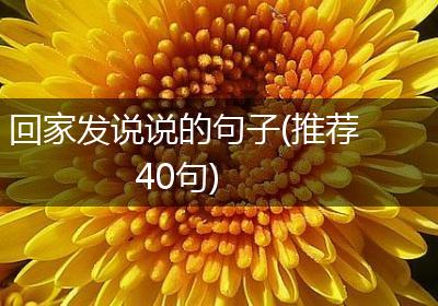回家发说说的句子(推荐40句)