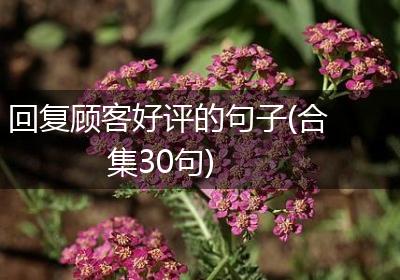 回复顾客好评的句子(合集30句)