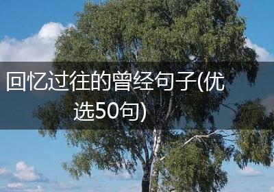 回忆过往的曾经句子(优选50句)