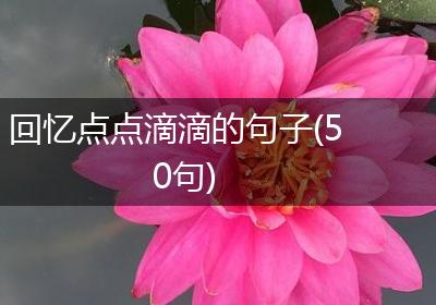 回忆点点滴滴的句子(50句)