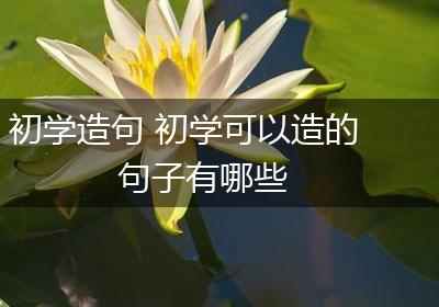 初学造句 初学可以造的句子有哪些