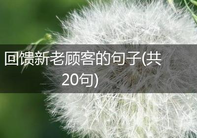 回馈新老顾客的句子(共20句)