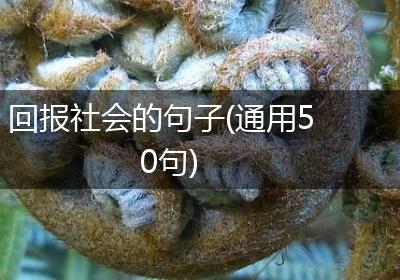 回报社会的句子(通用50句)