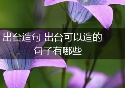 出台造句 出台可以造的句子有哪些