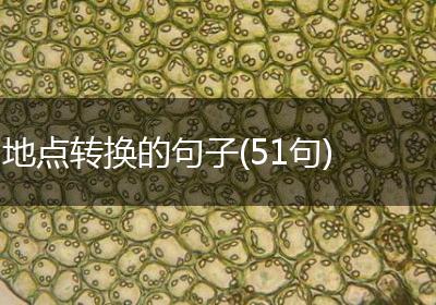 地点转换的句子(51句)