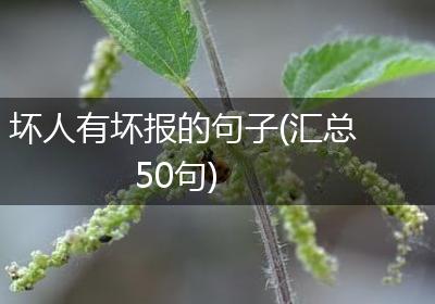 坏人有坏报的句子(汇总50句)