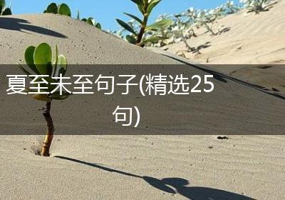 夏至未至句子(精选25句)