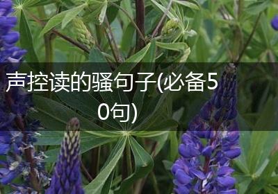声控读的骚句子(必备50句)