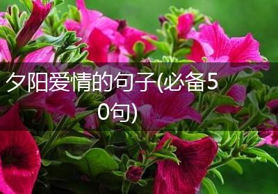 夕阳爱情的句子(必备50句)